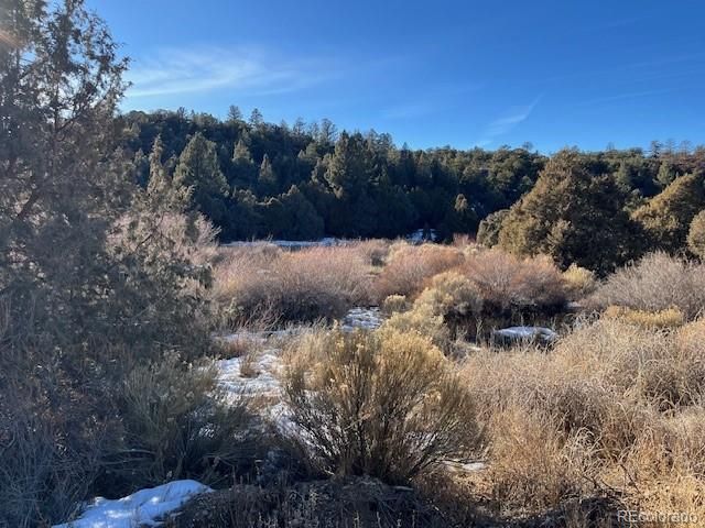 Lot 6016 Forbes Road, San Luis, CO 81152