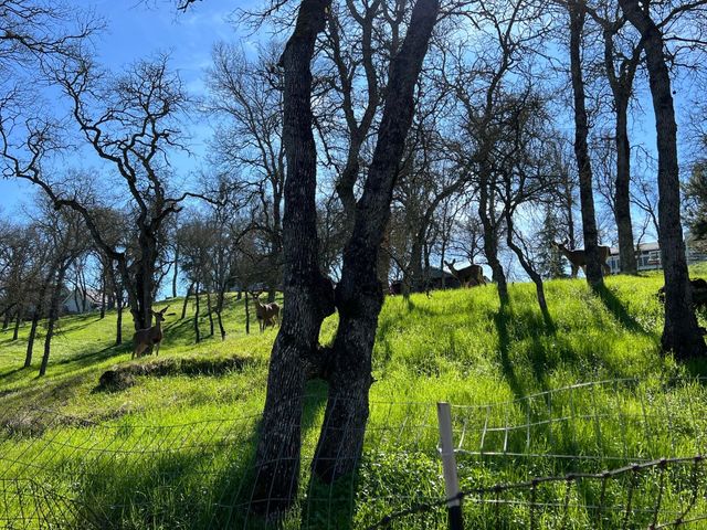 8015 Kirby St, Valley Springs, CA 95252