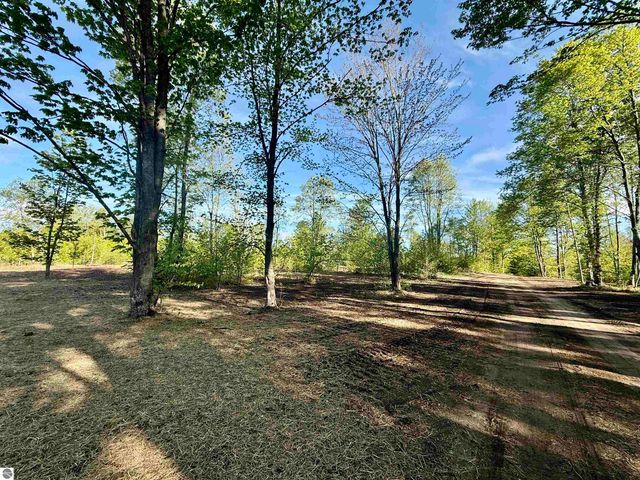 1155 E Solaris Way, Maple City, MI 49664