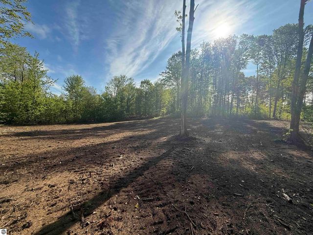 1155 E Solaris Way, Maple City, MI 49664