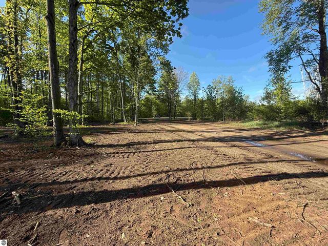 1155 E Solaris Way, Maple City, MI 49664