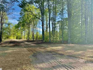 1155 E Solaris Way, Maple City, MI 49664