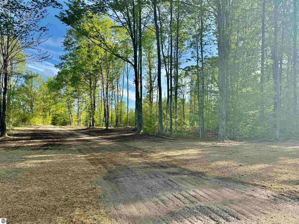 1155 E Solaris Way, Maple City, MI 49664