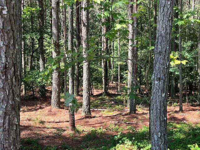 940 Crockett Point Jf-567, Jasper, TN 37347