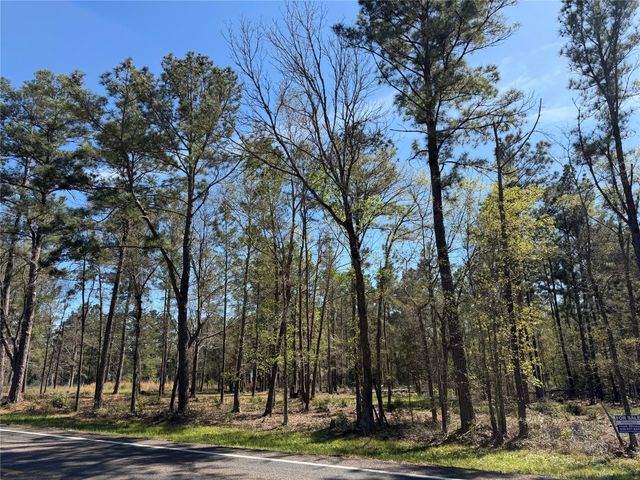 00 00 Fm 247, Huntsville, TX 77320