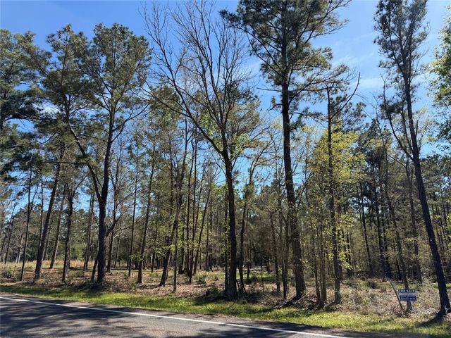 00 00 Fm 247, Huntsville, TX 77320