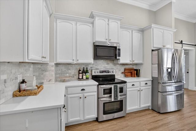 4423 MERRICK RUN LANE, Valrico, FL 33596