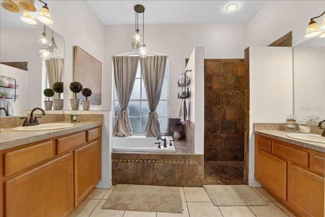 4423 MERRICK RUN LANE, Valrico, FL 33596