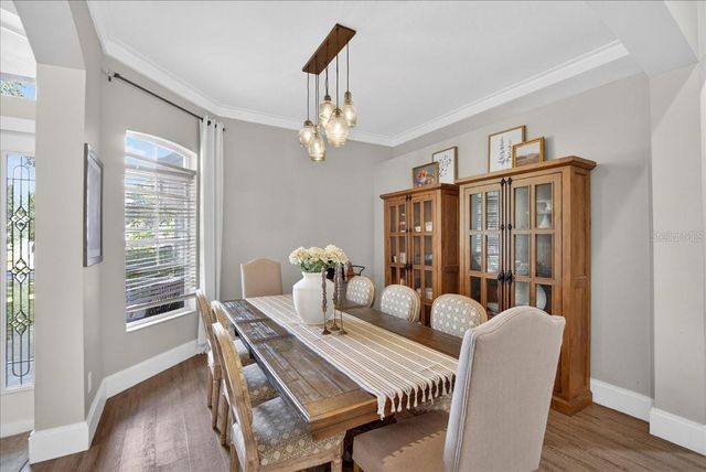 4423 MERRICK RUN LANE, Valrico, FL 33596