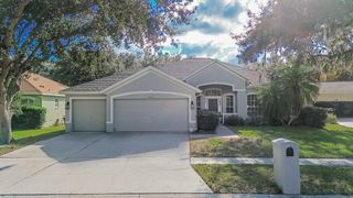 4423 MERRICK RUN LANE, Valrico, FL 33596