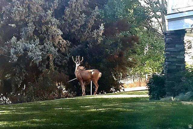 4122 IMPERIAL WAY, Provo, UT 84604