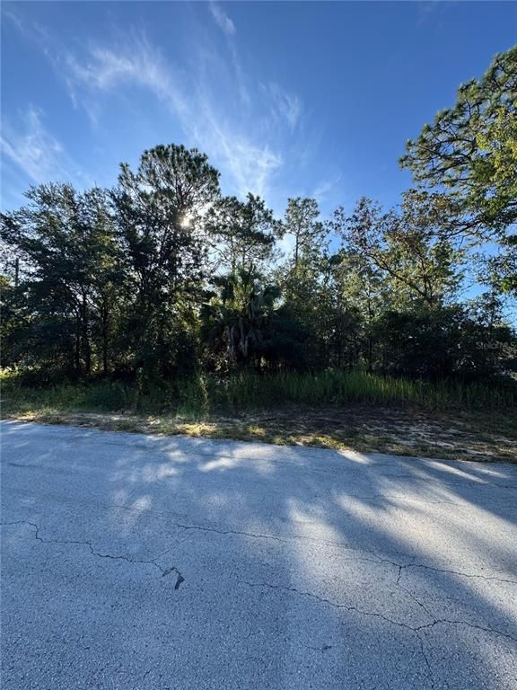 TBD HEMLOCK LOOP DRIVE, Ocala, FL 34472