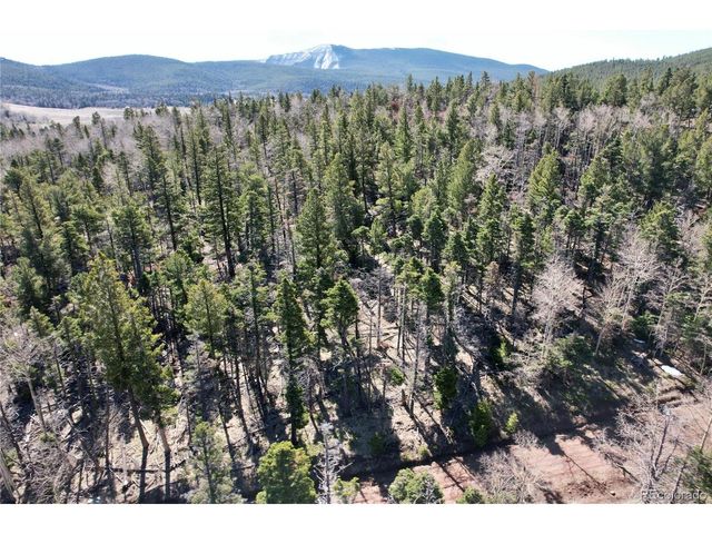 2966 Kemper Loop, Fort Garland, CO 81133