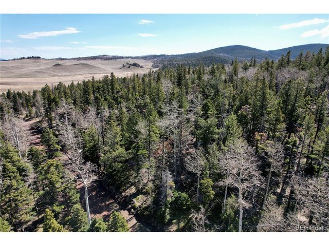 2966 Kemper Loop, Fort Garland, CO 81133