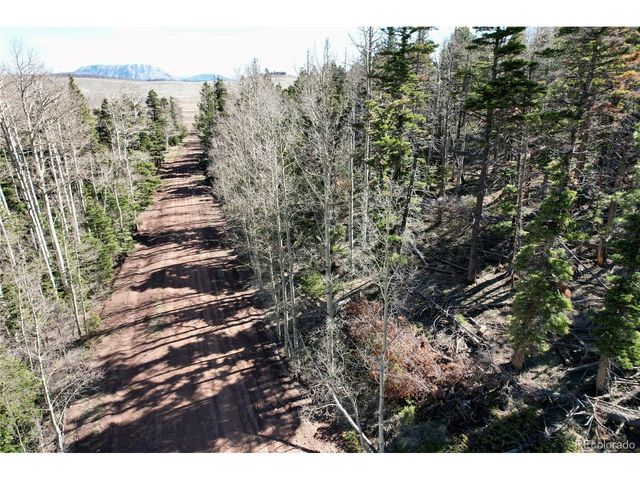 2966 Kemper Loop, Fort Garland, CO 81133