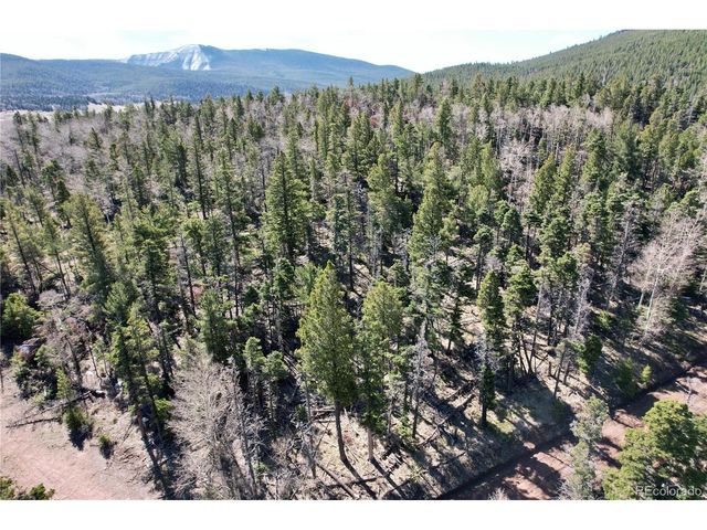 2966 Kemper Loop, Fort Garland, CO 81133