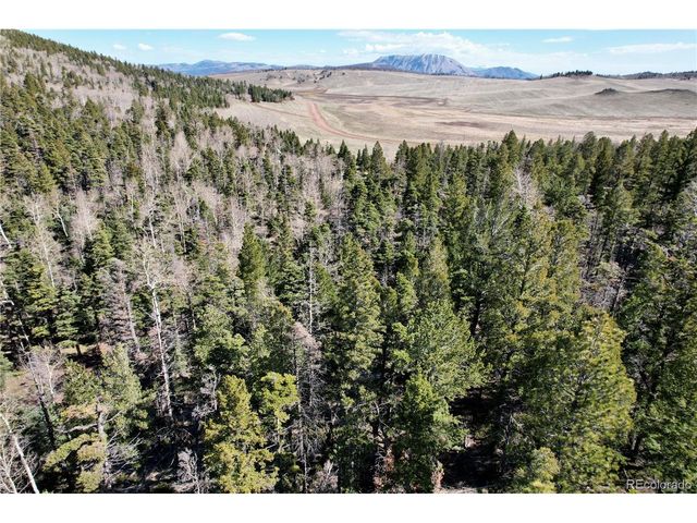 2966 Kemper Loop, Fort Garland, CO 81133