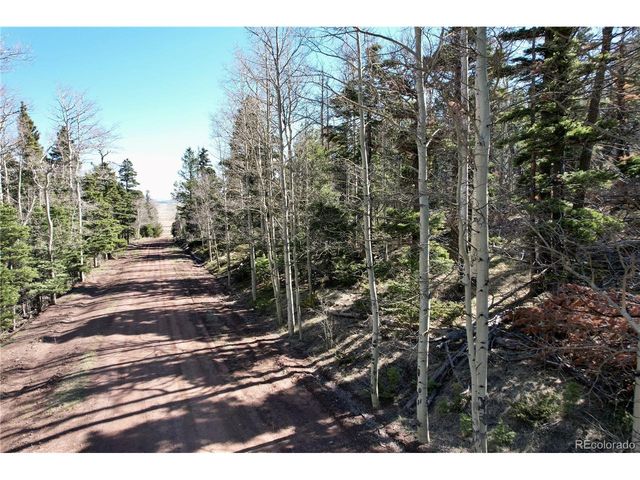 2966 Kemper Loop, Fort Garland, CO 81133