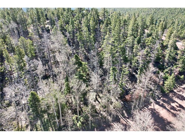 2966 Kemper Loop, Fort Garland, CO 81133