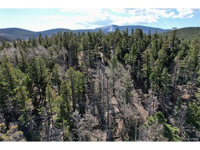 2966 Kemper Loop, Fort Garland, CO 81133