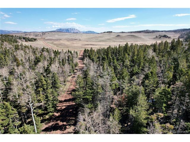 2966 Kemper Loop, Fort Garland, CO 81133