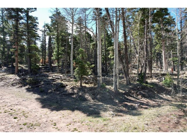 2966 Kemper Loop, Fort Garland, CO 81133