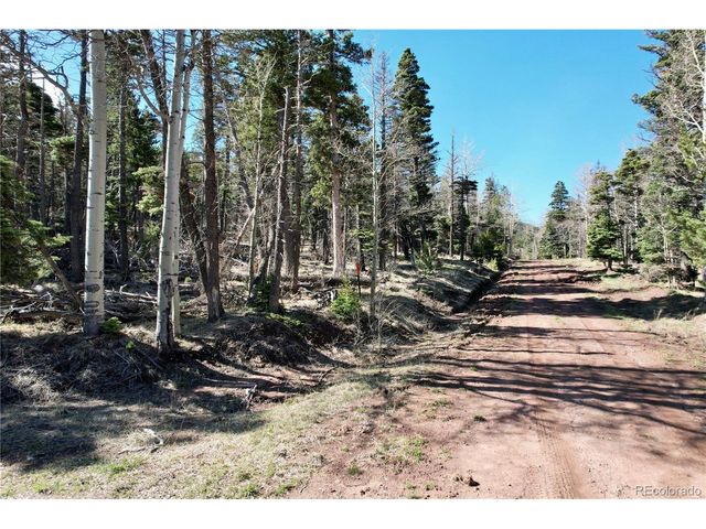 2966 Kemper Loop, Fort Garland, CO 81133