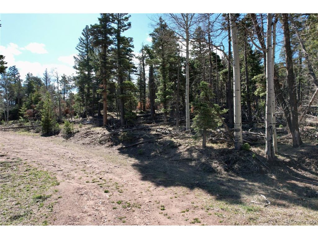 2966 Kemper Loop, Fort Garland, CO 81133