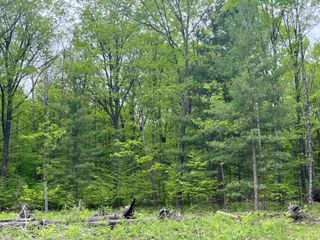 parcel A Theron Road, Blair Twp, MI 49685