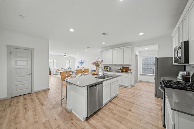 29511 Ella Larchmont Court, Katy, TX 77494