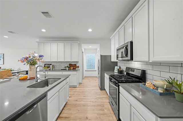 29511 Ella Larchmont Court, Katy, TX 77494