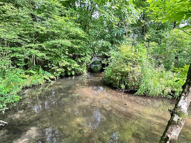 8787 N 27th Street, Richland, MI 49083