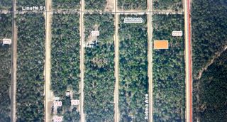 0C Selma Ave, Interlachen, FL 32148