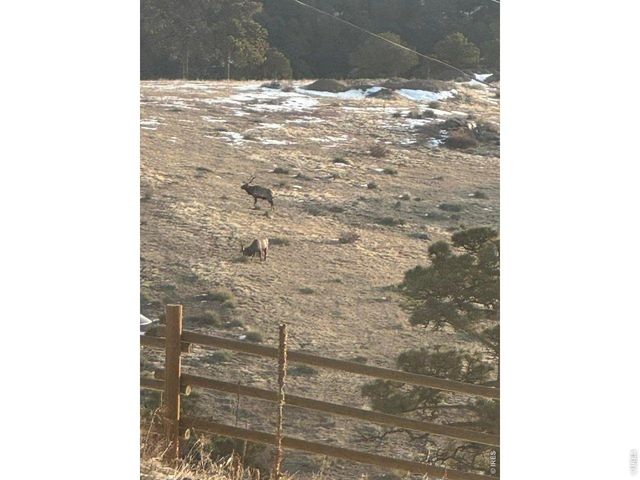 27033 Thea Gulch Rd, Golden, CO 80403