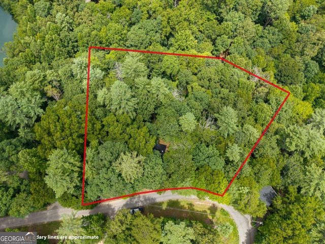 252 Granny Branch Drive, Blue Ridge, GA 30513