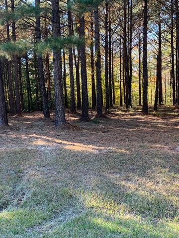 242 Plumtree Circle, Edenton, NC 27932