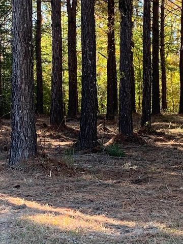 242 Plumtree Circle, Edenton, NC 27932