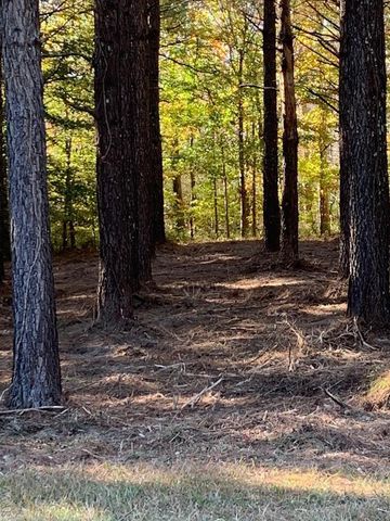 242 Plumtree Circle, Edenton, NC 27932