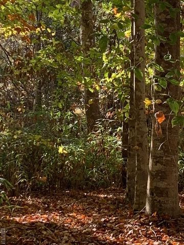 242 Plumtree Circle, Edenton, NC 27932