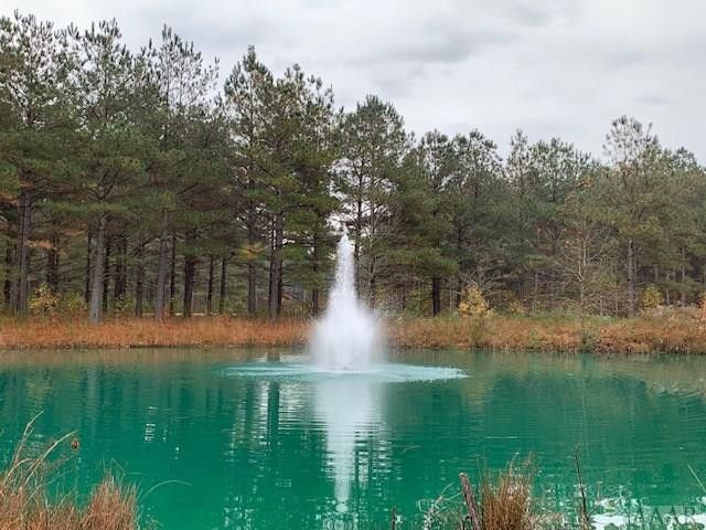 242 Plumtree Circle, Edenton, NC 27932