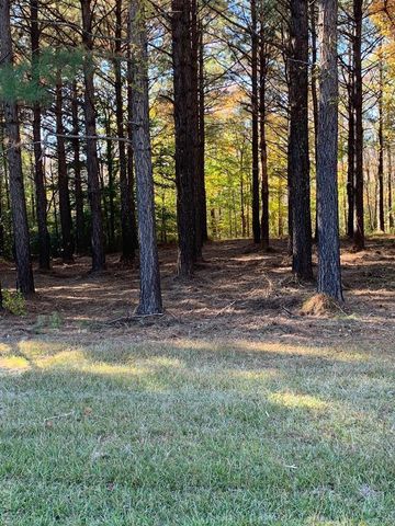 242 Plumtree Circle, Edenton, NC 27932