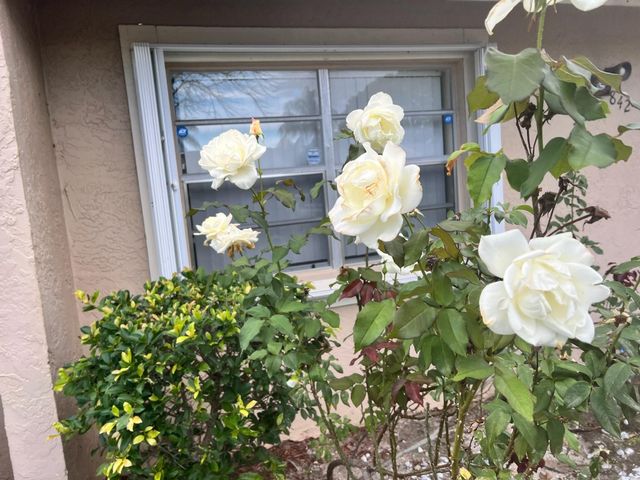 842 Banks Road, Coconut Creek, FL 33063