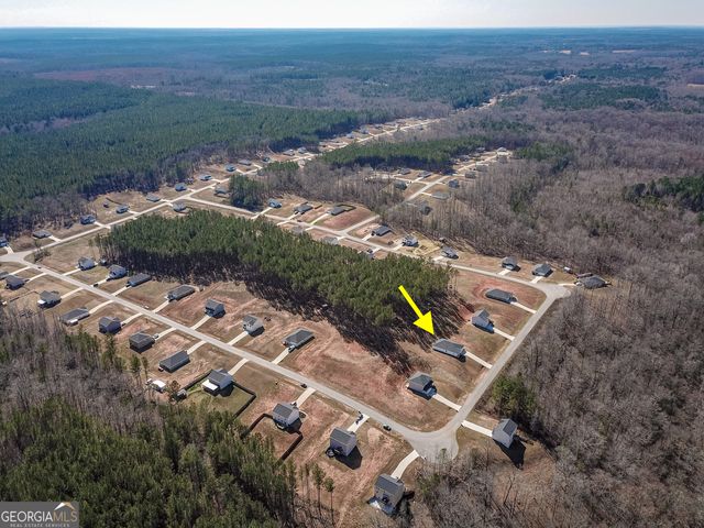 1617 Hunter Welch Parkway, Luthersville, GA 30251