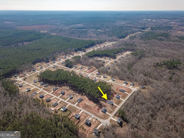 1617 Hunter Welch Parkway, Luthersville, GA 30251