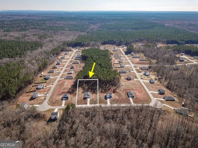 1617 Hunter Welch Parkway, Luthersville, GA 30251