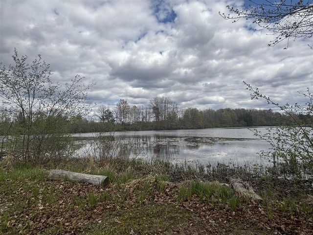 191 Haddix Boulevard 2981, Barryton, MI 49305