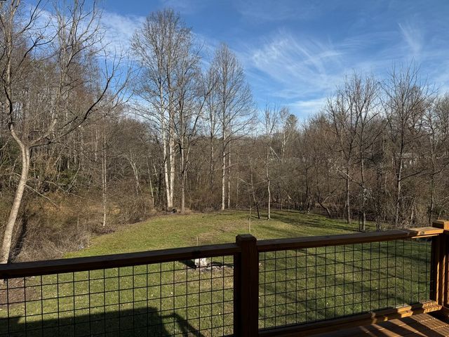 157 Old Loving Road, Mineral Bluff, GA 30559