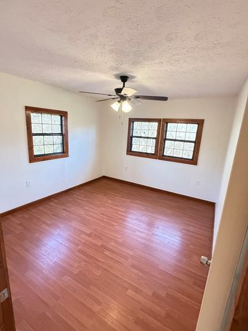 157 Old Loving Road, Mineral Bluff, GA 30559