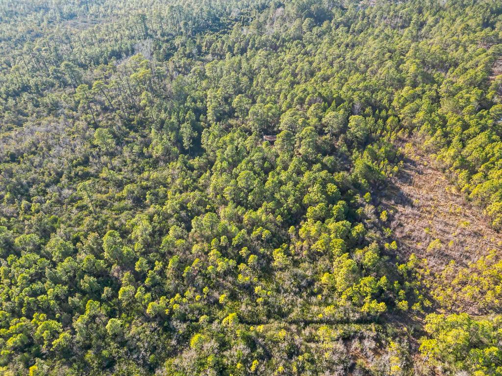 TBD Sugar Bowl Ln., Longs, SC 29568 — photo 2