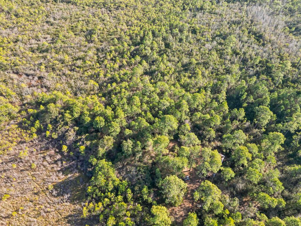 TBD Sugar Bowl Ln., Longs, SC 29568 — photo 5